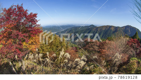 御岳山の中腹「御岳平」から眺めた景色【東京都・青梅市】 78619128