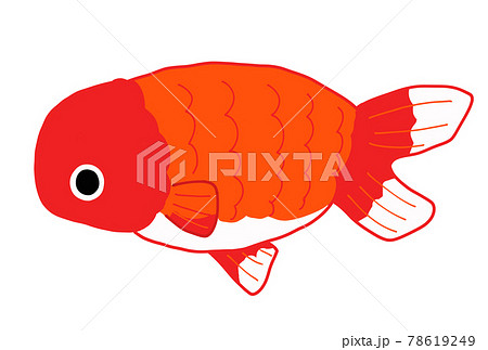金魚のランチュウのイラスト 78619249