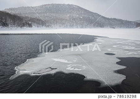 凍り始めた琵琶池に雪が積って模様を描いていく 78619298