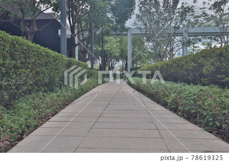 park pedestrian walkway toward modern city, hk 29 May 2021 park pedestrian walkway toward modern city, hk 29 May 2021 78619325