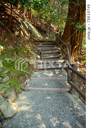 情緒ある「かずら橋」への散策道 78619749