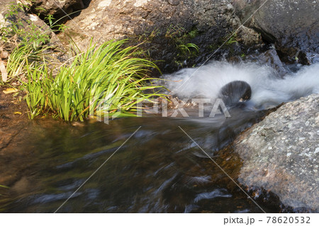 Stream and Bride s Pool Waterfall in Hong Kong. Stream and Bride s Pool Waterfall in Hong Kong. 78620532