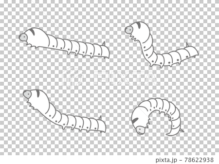 Silk moth larva set of illustrations of silk moth 78622938