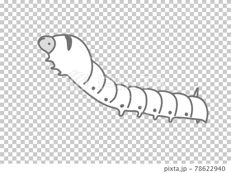 Silk moth larva illustration of silk moth 78622940