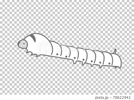 Silk moth larva illustration of silk moth 78622941