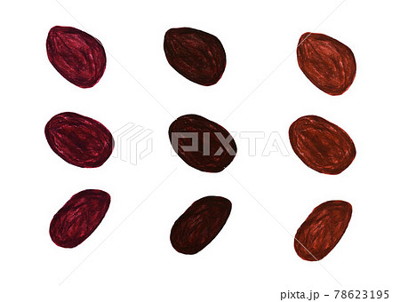 レーズン 78623195