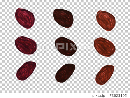 レーズン 78623195