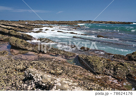 【日南海岸 鬼の洗濯板】 宮崎県宮崎市内海 道の駅フェニックス 【日南海岸 鬼の洗濯板】 宮崎県宮崎市内海 道の駅フェニックス 78624176