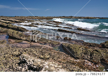 【日南海岸 鬼の洗濯板】 宮崎県宮崎市内海 道の駅フェニックス 78624177