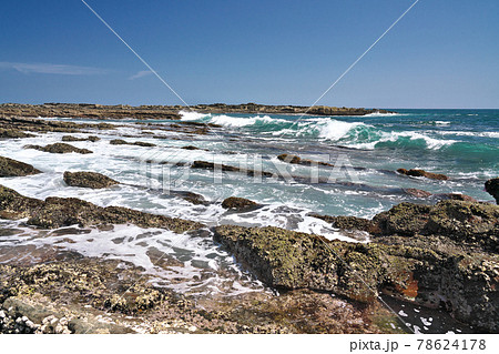 【日南海岸 鬼の洗濯板】 宮崎県宮崎市内海 道の駅フェニックス 78624178