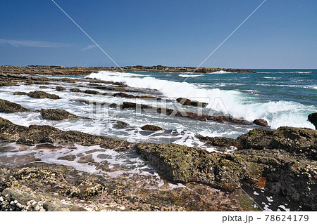 【日南海岸 鬼の洗濯板】 宮崎県宮崎市内海 道の駅フェニックス 78624179