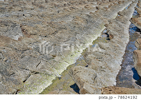 【日南海岸 鬼の洗濯板】 宮崎県宮崎市内海 道の駅フェニックス 78624192