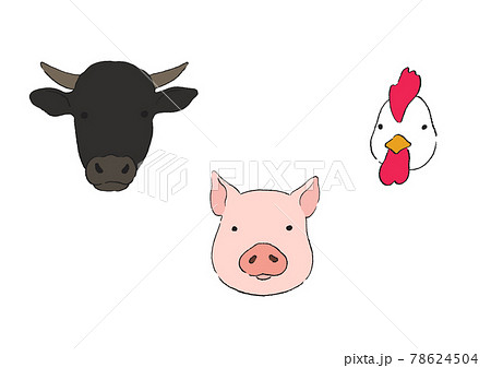 牛と豚と鶏の顔のイラストのイラスト素材
