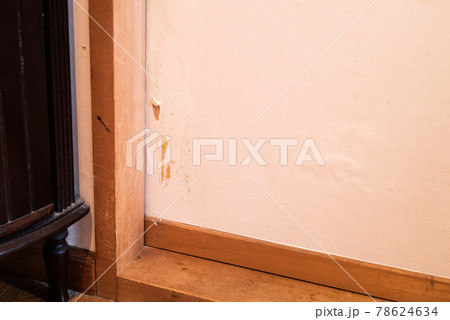 犬にかじられたドア　リフォーム　ペット被害　 78624634