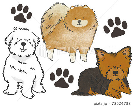 小型犬イラストのイラスト素材