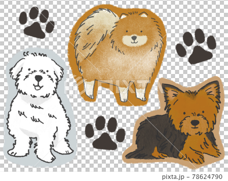 小型犬 イラストのイラスト素材