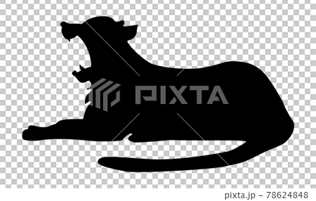 大きく口を開けた虎のシルエット 大きく口を開けた虎のシルエット 78624848