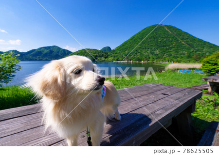新緑の榛名山・榛名湖〈群馬県高崎市〉 78625505
