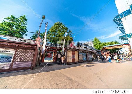 日本の東京都市景観 浅草寺・「伝法院通」(伝法院通り)などを望む。画面奥・仲見世通りが横切る 日本の東京都市景観 浅草寺・「伝法院通」(伝法院通り)などを望む。画面奥・仲見世通りが横切る 78626209