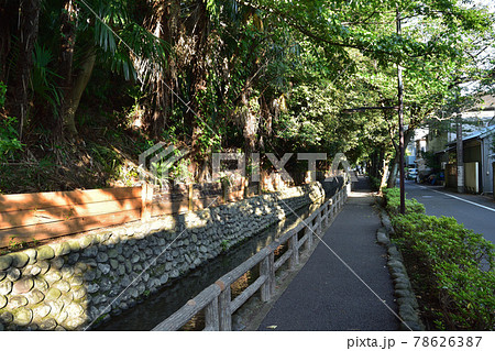 田園調布本町・六郷用水の風景 78626387