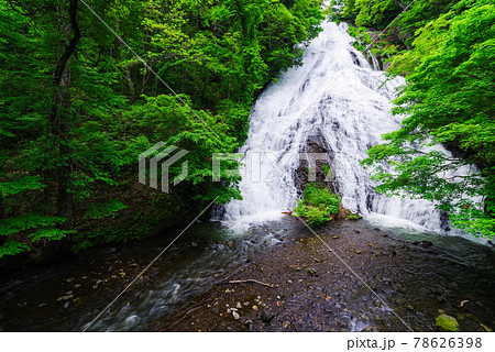 湯滝【栃木県日光市】 湯滝【栃木県日光市】 78626398