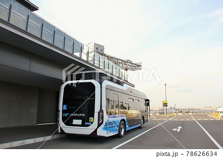 ハンマーヘッドと水素バス ハンマーヘッドと水素バス 78626634