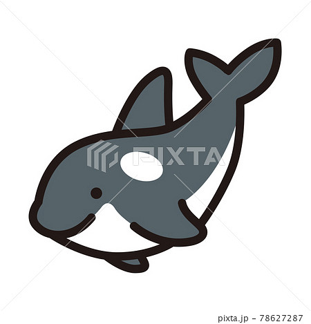 仲良しシャチの兄妹のイラスト素材