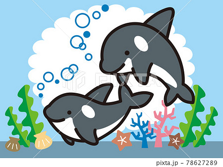 仲良しシャチの兄妹 78627289