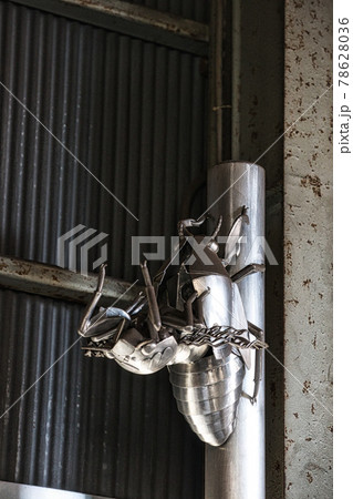 羽化(ステンレス蝉)ー鉄工所内風景 羽化(ステンレス蝉)ー鉄工所内風景 78628036