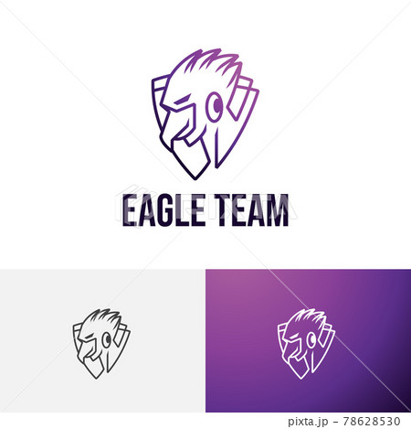 Eagle Hawk Falcon Strong Shield Game Esport Team Logo 78628530