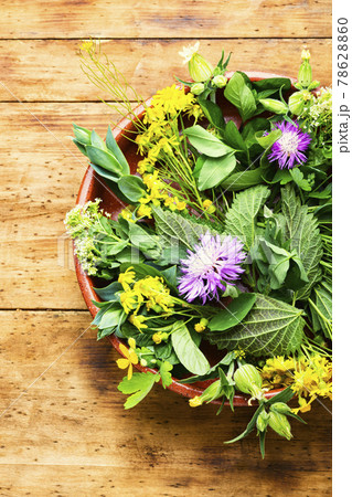 Natural medicine,fresh herbs on wooden table Natural medicine,fresh herbs on wooden table 78628860