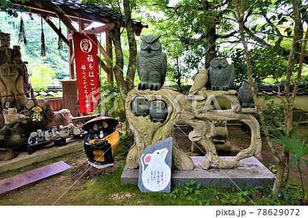 七福神寿老人霊場 子安大師腹帯授与所、ふくろうの寺、佐用町平福の光明寺、ふくろうのディスプレイ 七福神寿老人霊場 子安大師腹帯授与所、ふくろうの寺、佐用町平福の光明寺、ふくろうのディスプレイ 78629072