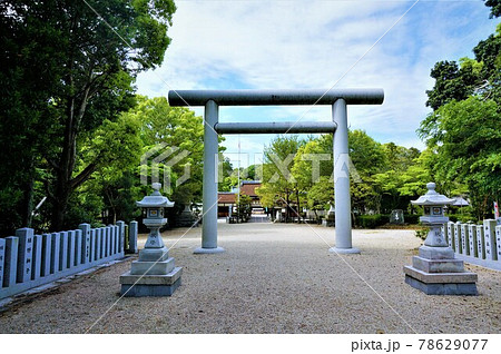 伊弉諾神社の大鳥居と青アゾラ白雲 78629077