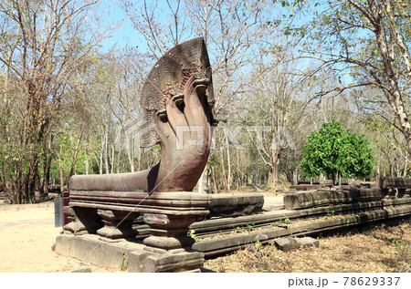 Statues of multi-headed serpents or nagas in Koh Ker complex, Cambodia Statues of multi-headed serpents or nagas in Koh Ker complex, Cambodia 78629337