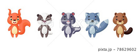 Cute woodland animals set. Collection funny animals characters for kids cards, baby shower, birthday invitation, house interior. Bright colored childish vector illustration. 78629602