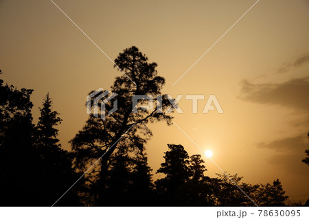 夕暮れ空 78630095