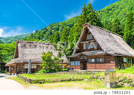 《富山県》菅沼合掌造り集落・初夏の田植えシーズン 78631201