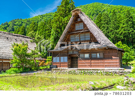《富山県》菅沼合掌造り集落・初夏の田植えシーズン 78631203