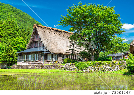 《富山県》菅沼合掌造り集落・初夏の田植えシーズン 78631247