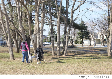公園の親子 78631743