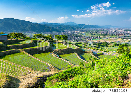 《長野県》姨捨の棚田・田植えシーズン 《長野県》姨捨の棚田・田植えシーズン 78632193