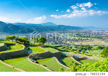 《長野県》姨捨の棚田・田植えシーズン 78632194