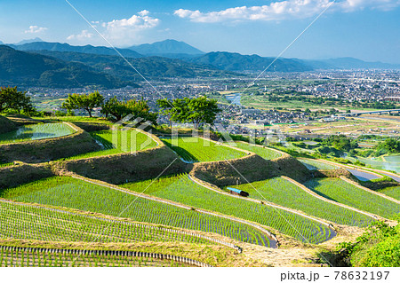 《長野県》姨捨の棚田・田植えシーズン 78632197