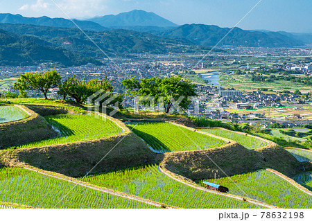 《長野県》姨捨の棚田・田植えシーズン 78632198