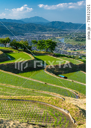 《長野県》姨捨の棚田・田植えシーズン 《長野県》姨捨の棚田・田植えシーズン 78632201