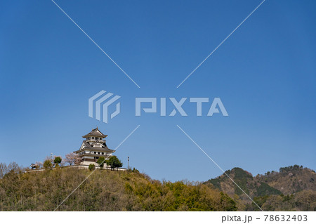 鳥取県鳥取市　春のお城山展望台の河原城 78632403