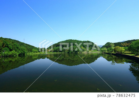 静かな平ノ沢池 78632475