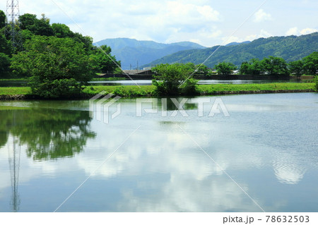 夏空を映した平ノ沢池 夏空を映した平ノ沢池 78632503
