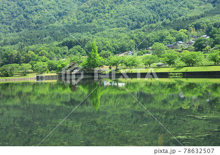 平ノ沢池に映る新緑 78632507