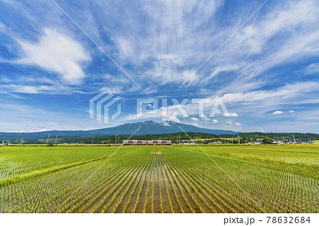 初夏の水田地帯を走る列車と鳥海山 山形県遊佐町 初夏の水田地帯を走る列車と鳥海山 山形県遊佐町 78632684
